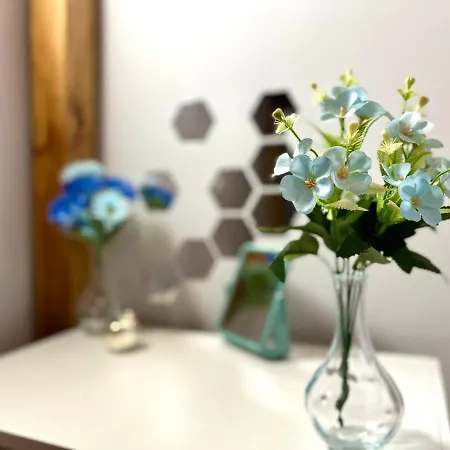 Mmrent Lazy Homestay